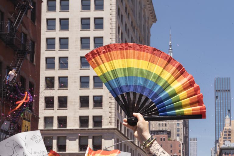 flag fan