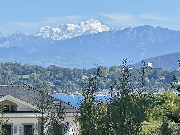 Swiss Alps