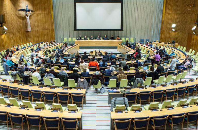 panel at the United Nations, 2018 advocacy week