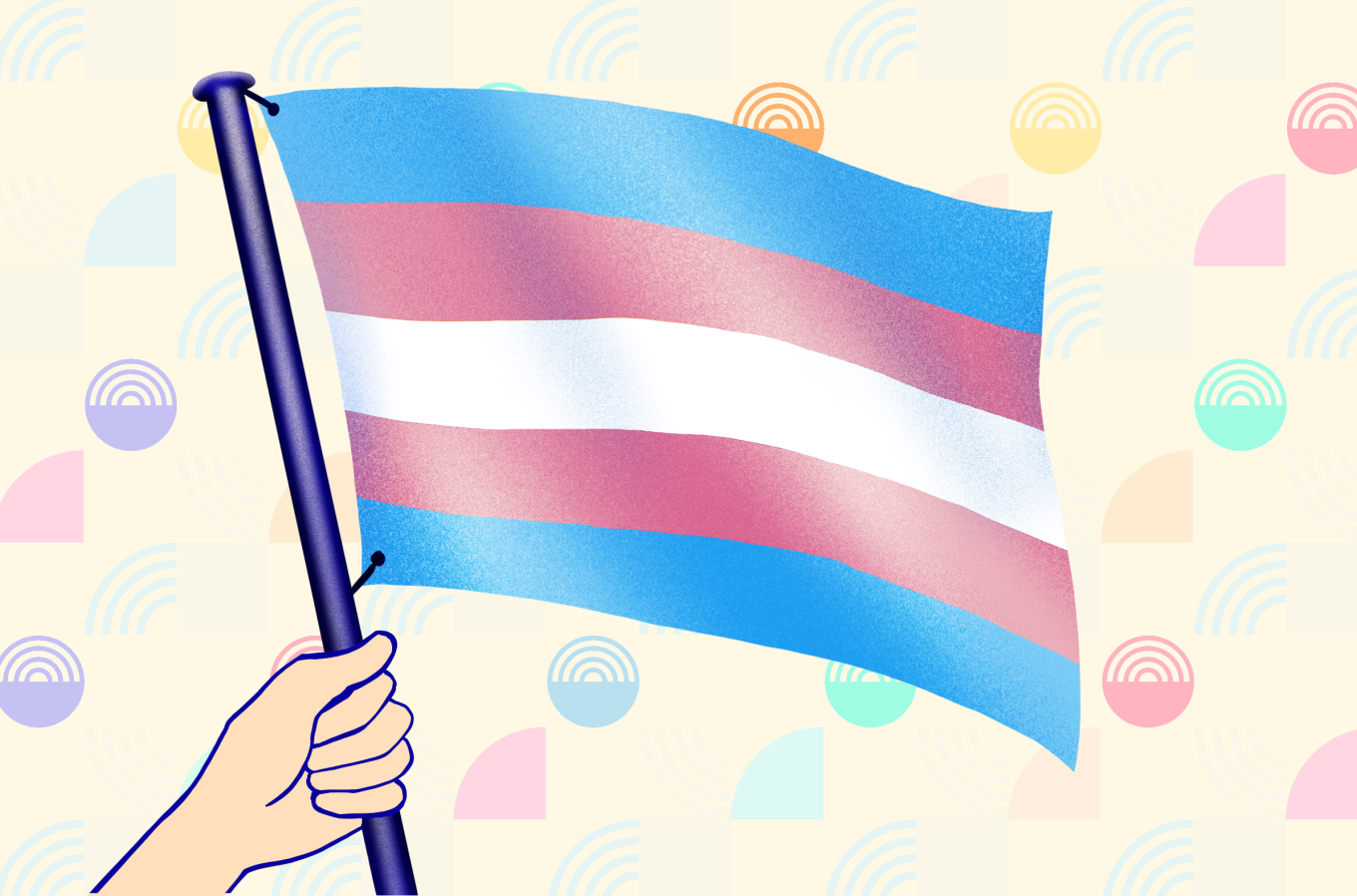 All about the Trans flag - HER