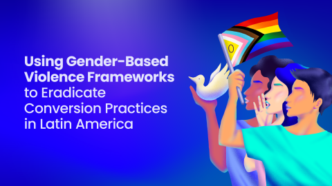 White text on blue background for the "Using Gender Based Violence Frameworks" report