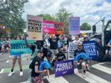 Large group photo of people marching in the street during WorldPride