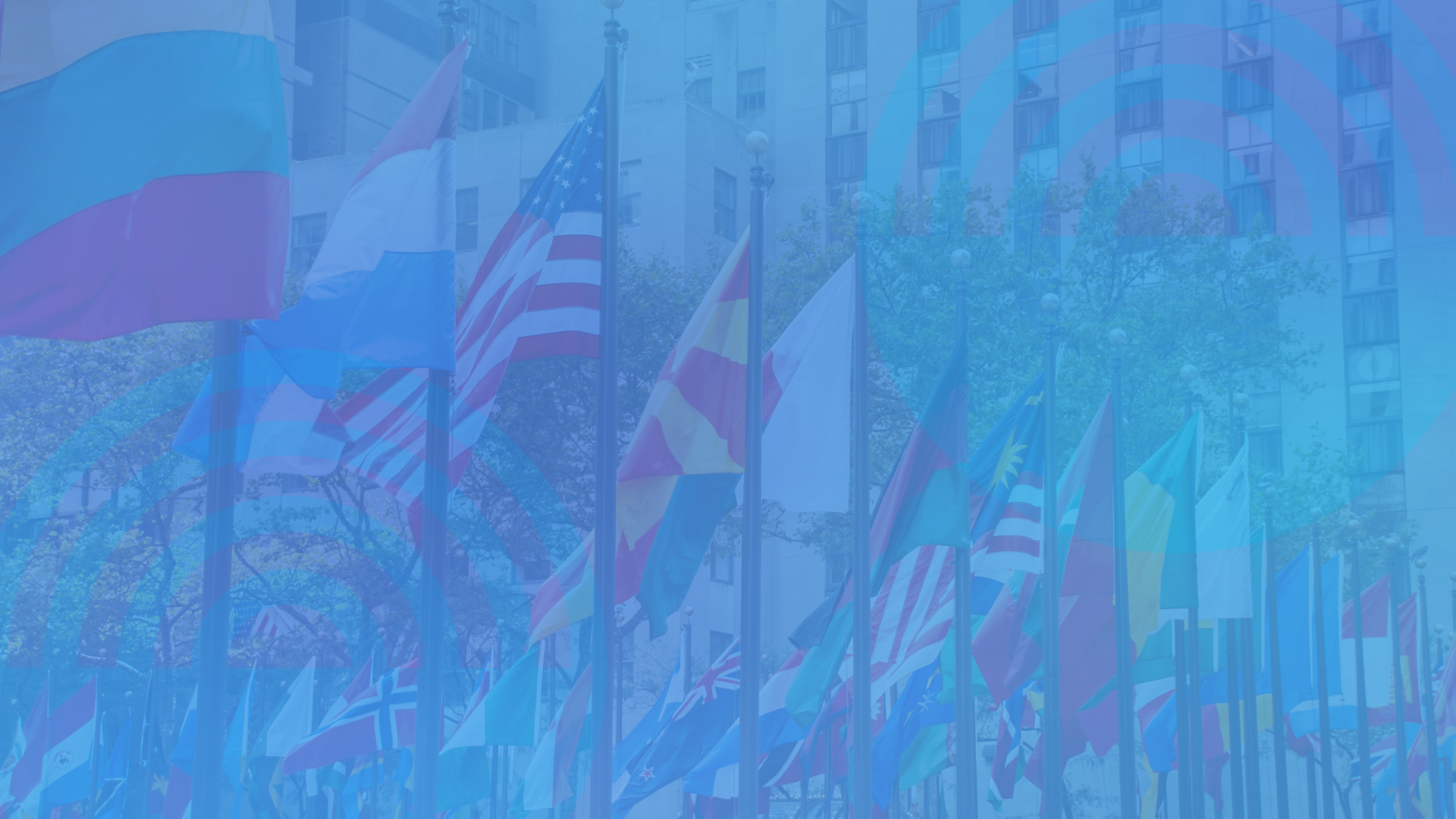United Nations flags